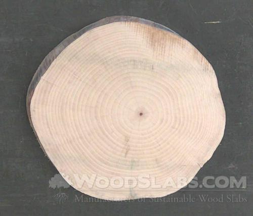 Norfolk Island Pine Wood Slab #Y4V-5U8-W3T3