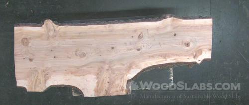 Cedar of Lebanon Wood Slab #78D-44A-FACJ
