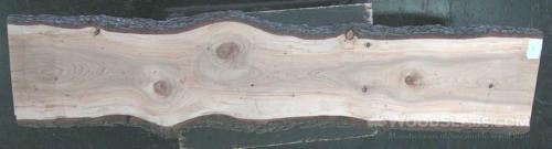 Cedar of Lebanon Wood Slab #JK4-1BO-CV1F