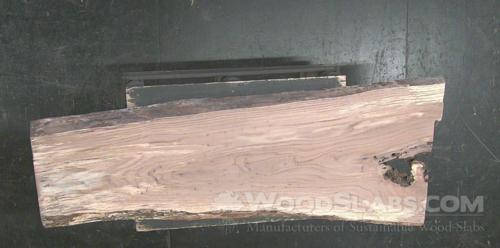 Chestnut Oak Wood Slab #JNO-F2M-J2AE
