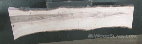 White Ash Wood Slab #V5T-GN4-XJYZ