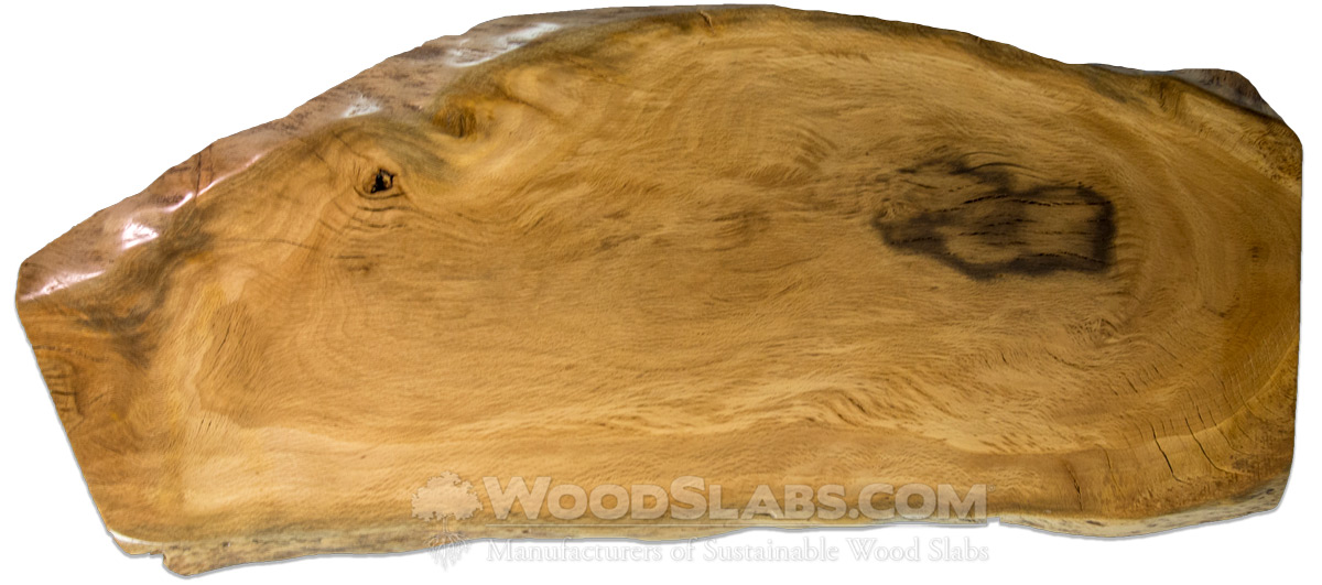 Live Oak Wood Slabs
