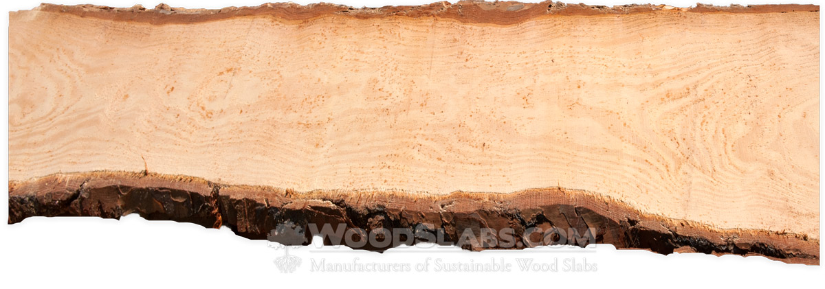 Longleaf Pine Wood Slabs