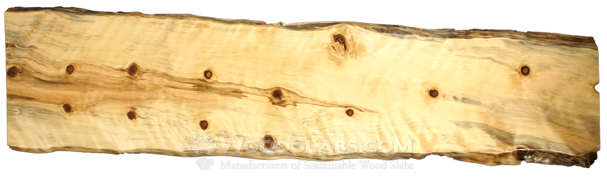 Norfolk Island Pine Wood Slabs