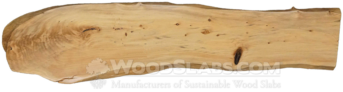 Podocarpus Wood Slabs