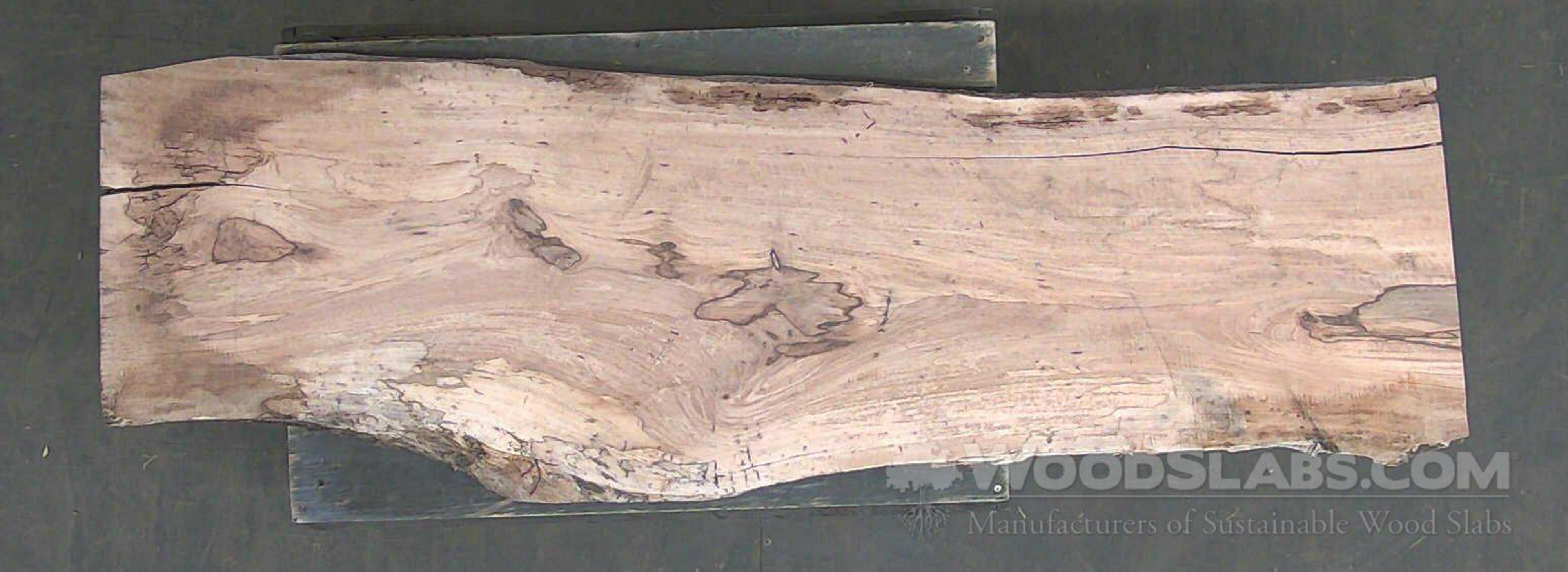 spalted pecan wood