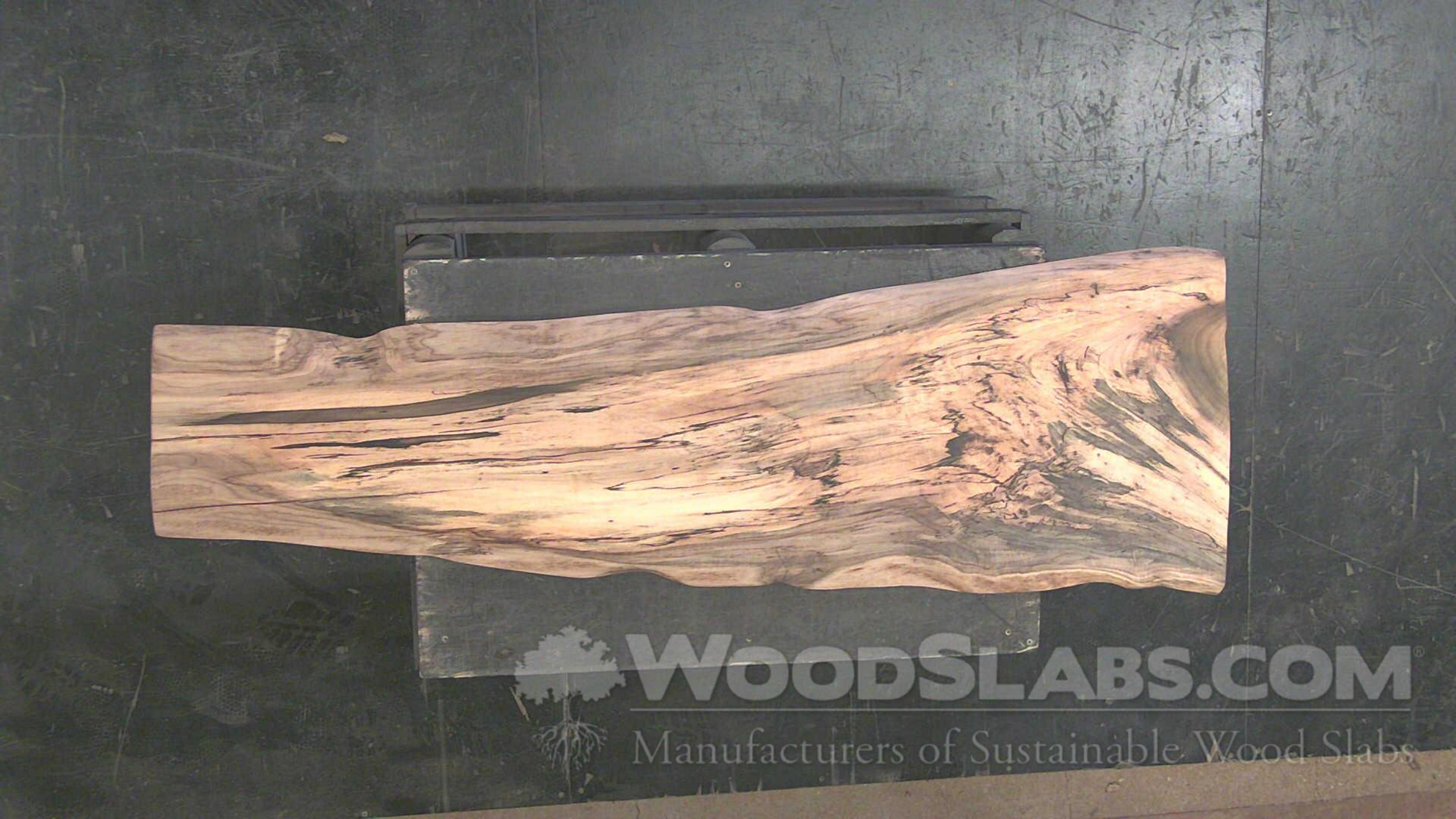 WoodSlabs.com - Tulip Poplar Wood Slab #24J-4ZQ-LXOR