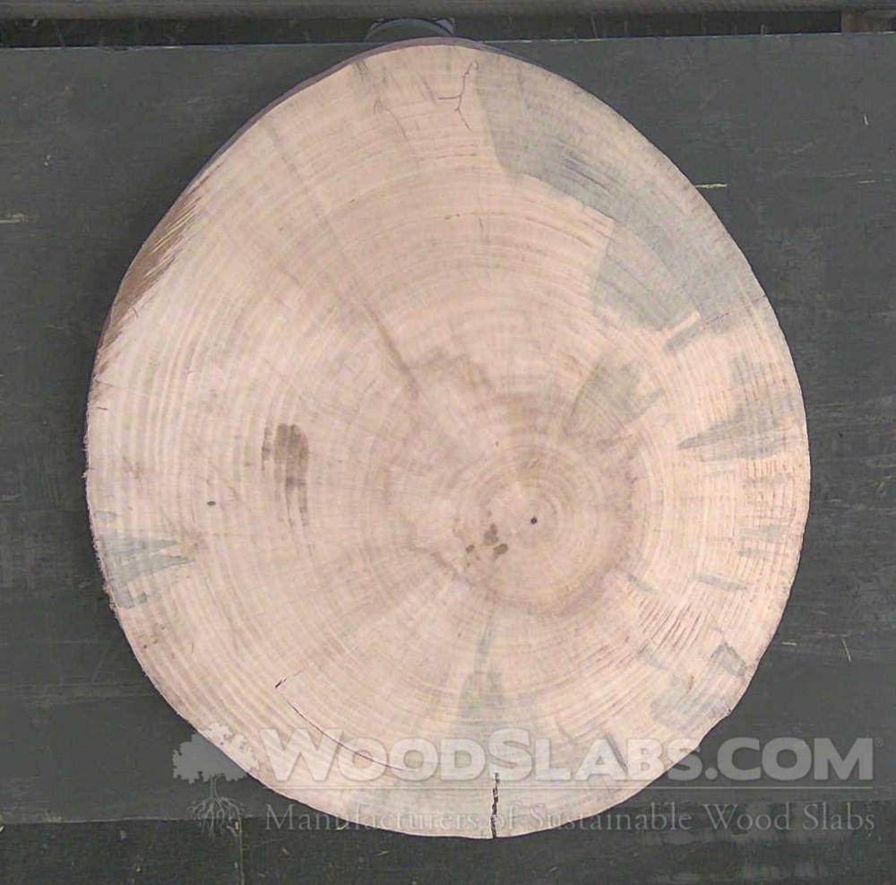 Norfolk Island Pine Wood Slab #9HK-P90-LFH7