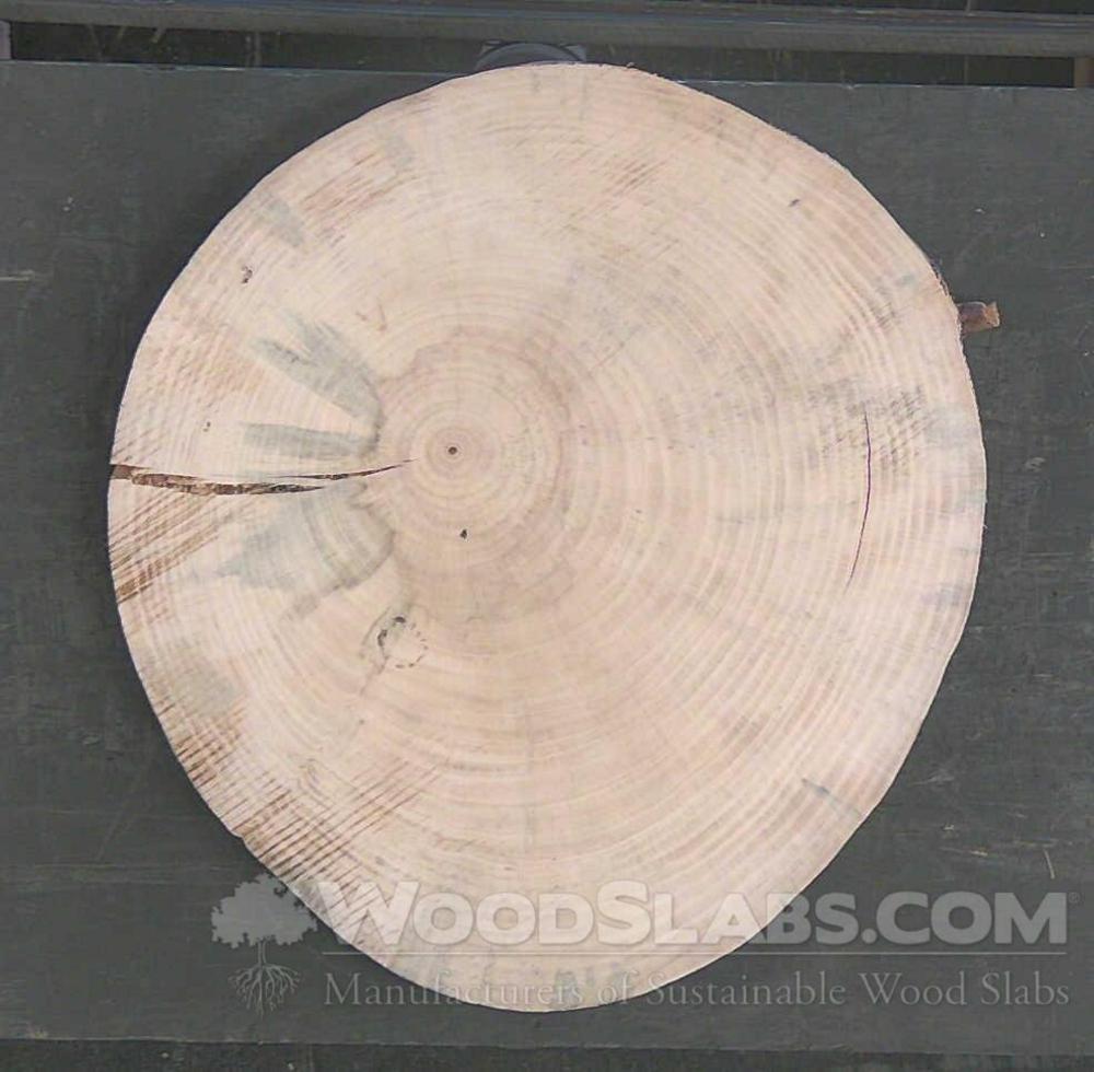 Norfolk Island Pine Wood Slab #XT8-RQA-GWG6