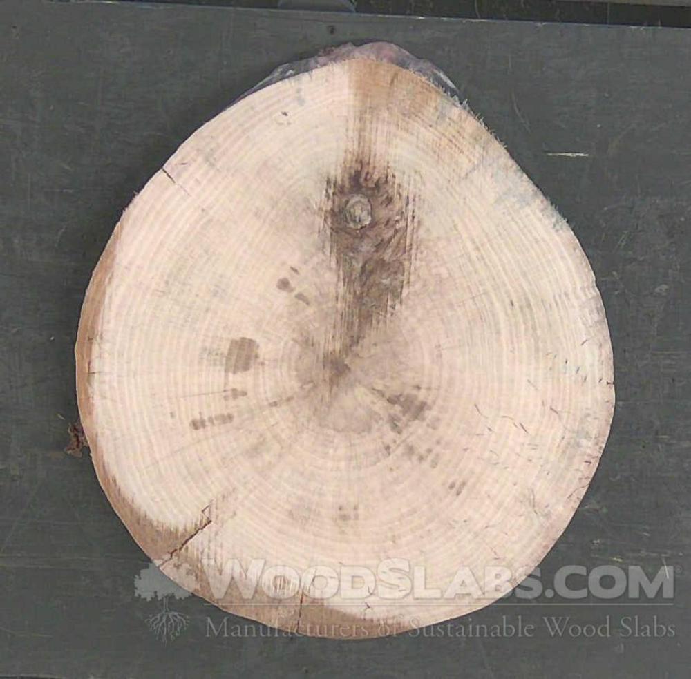 Norfolk Island Pine Wood Slab #NTS-CGC-4NKI