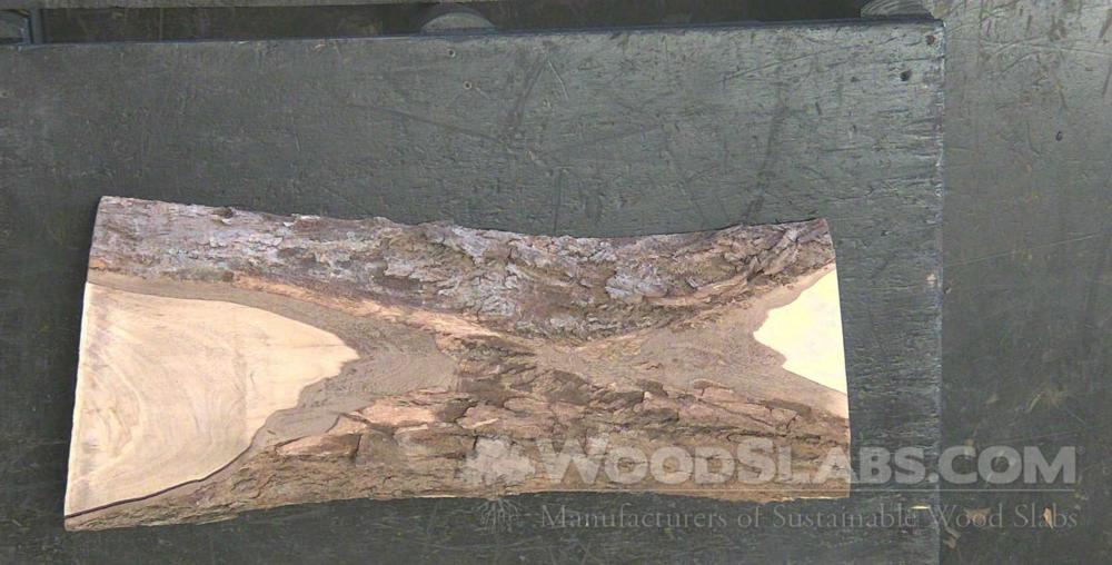 Indian Rosewood Wood Slab #9N1-22N-DPZU