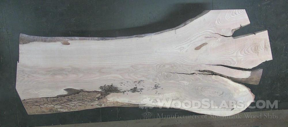 White Ash Wood Slab #T6Q-CAN-S3LZ