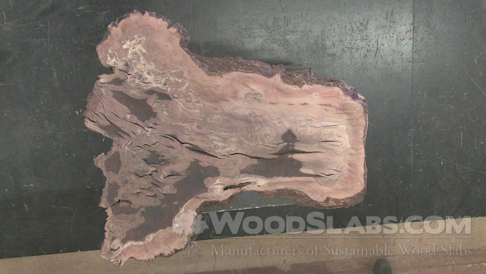 Claro Walnut Wood Slab #3O2-HGV-PJUR