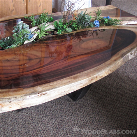 Artistic and Modern Live-Edge Wood Slab Tables