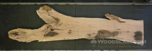 Laurel Oak Wood Slab #N7C-E2H-QXPW