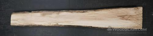 Pecan Wood Slab #U1S-1EG-TN1E