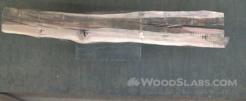 Australian Beefwood Wood Slab #P5G-DNL-L6SR