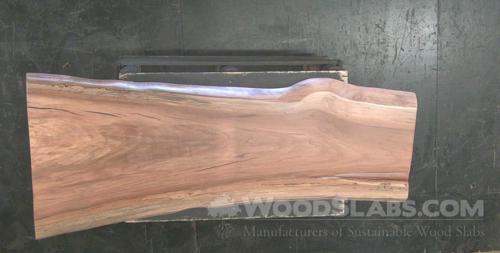 Sycamore Wood Slab #NLA-79L-GSTA