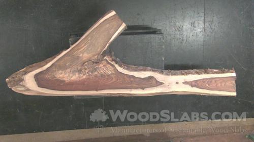 Indian Rosewood Wood Slab #7V6-O7R-I1DT