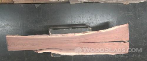 Walnut Wood Slab #MP8-NSP-DPHT