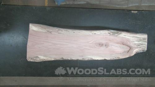 Willow Oak Wood Slab #3MS-X5W-G7NB