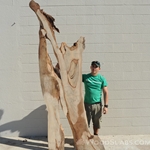 Wood Slabs as Artistic Decoration