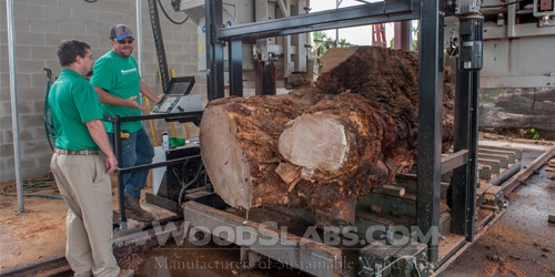 wood slabs mill