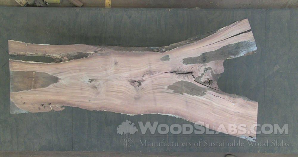 Indian Rosewood Wood Slab #S3H-AB1-W598