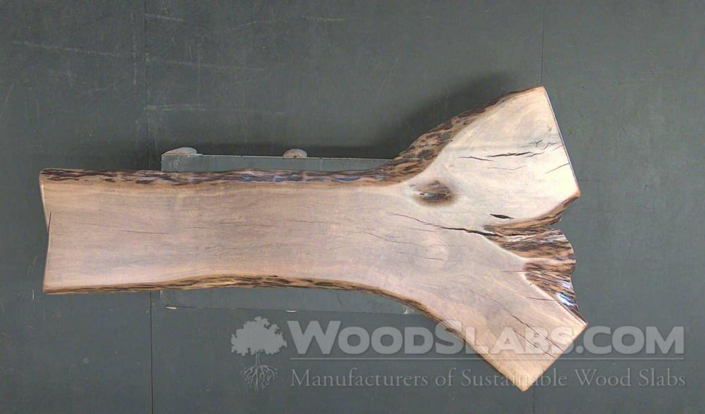 Maple Wood Slab #3JM-851-A99V