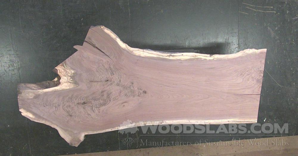 Walnut Wood Slab #3NV-743-P8Q0