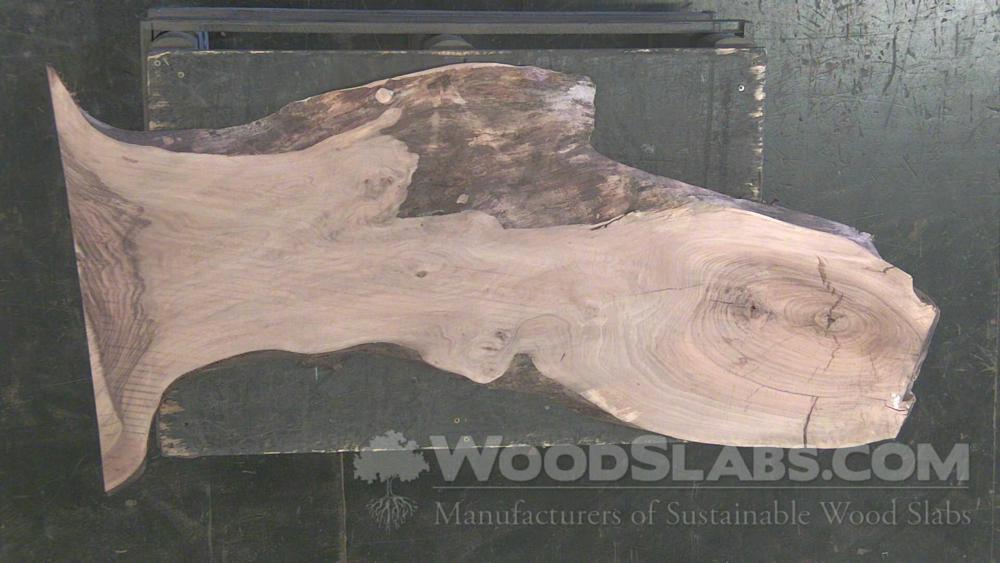 Claro Walnut Wood Slab #849-EFX-IMNP