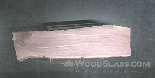 Walnut Wood Slab #IL5-0DE-X3GA