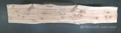 Cypress Wood Slab #EGK-BAZ-D52J