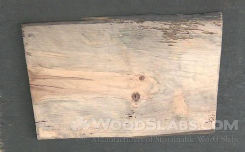 Norfolk Island Pine Wood Slab #9ZZ-I24-GEGX