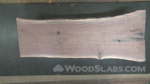 Walnut Wood Slab #6LD-AP9-TNPJ