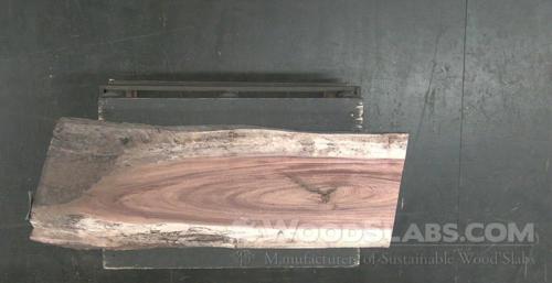 Monkey Pod Wood Slab #L48-3X6-H8DA