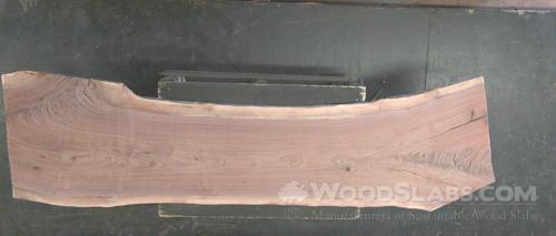 Walnut Wood Slab #YE0-GUJ-05J2