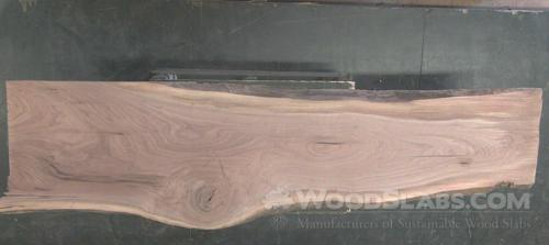 Walnut Wood Slab #8FA-R3W-G0NW
