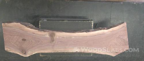 Walnut Wood Slab #XLM-BYW-MPG2