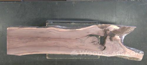 Walnut Wood Slab #2P2-O3F-0U7A