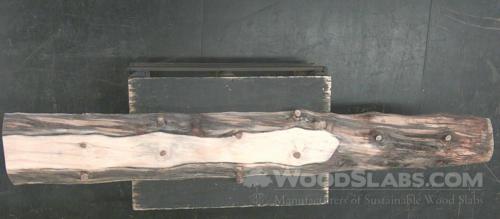 Norfolk Island Pine Wood Slab #KD1-SYC-C9GU