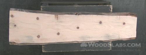Norfolk Island Pine Wood Slab #4YI-I53-4J3F