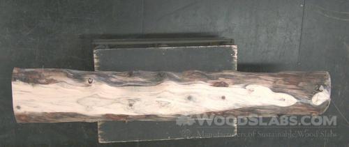 Norfolk Island Pine Wood Slab #093-RLZ-1QJW