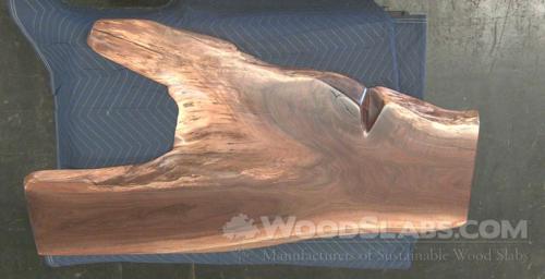 Walnut Wood Slab #61W-QAM-Q30M