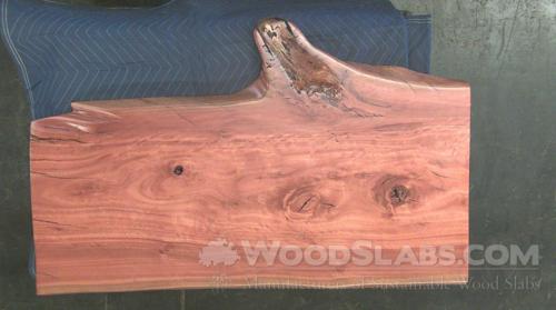 Eucalyptus Wood Slab #JW3-XRV-XZ71