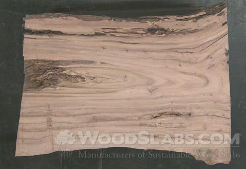 Eucalyptus Wood Slab #8CX-5YC-RECM