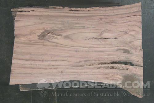 Eucalyptus Wood Slab #SC8-1RS-EKJZ