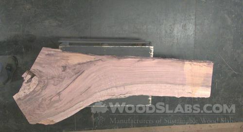 Australian Beefwood Wood Slab #0K0-QBH-F4WS