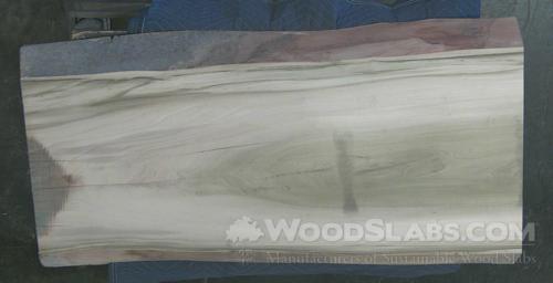 Rainbow Poplar Wood Slab #J1W-KB0-QS34