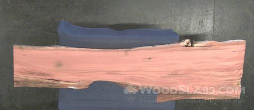 Eucalyptus Wood Slab #JQX-0GT-LVFN